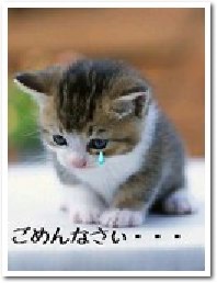 image0.jpeg