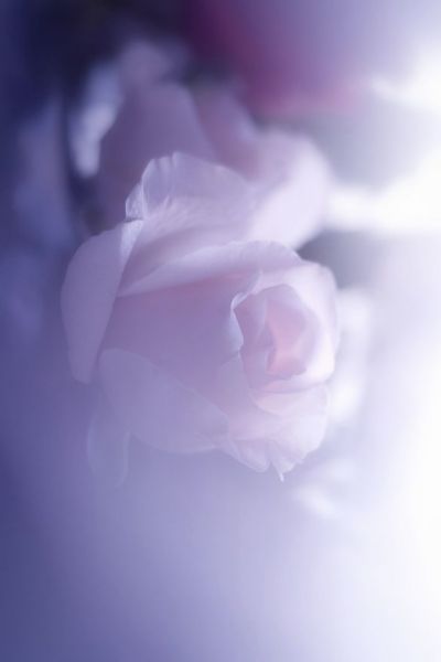 image0.jpeg