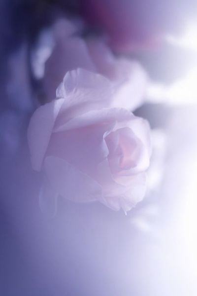 image0.jpeg