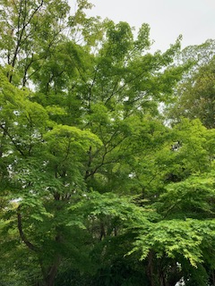 image0.jpeg