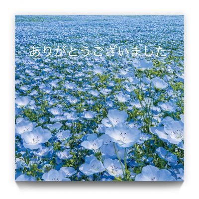 image0.jpeg